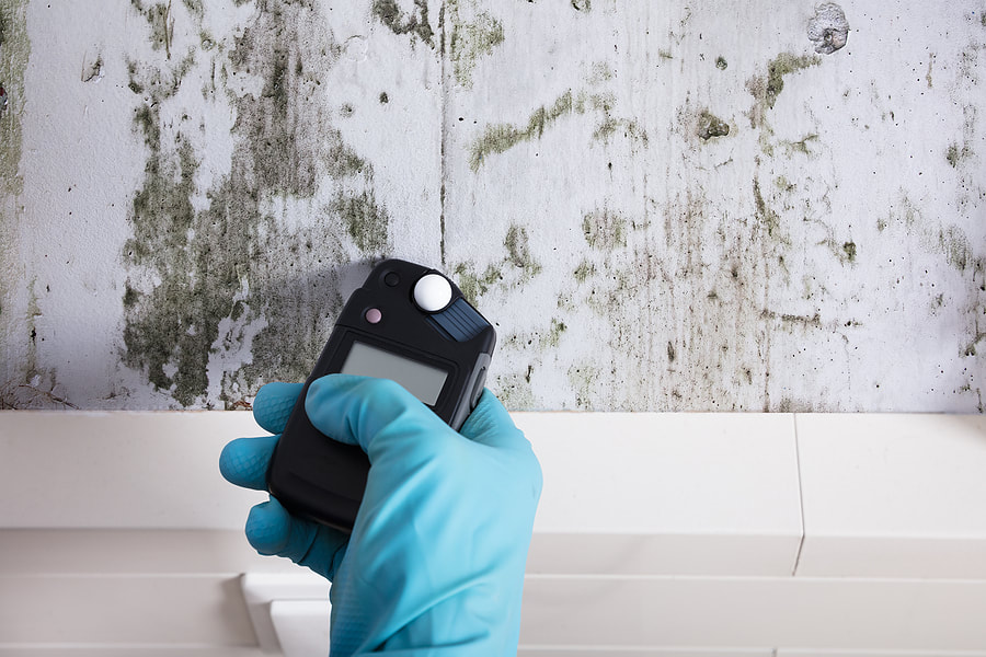 worker using a tester for mold removal
