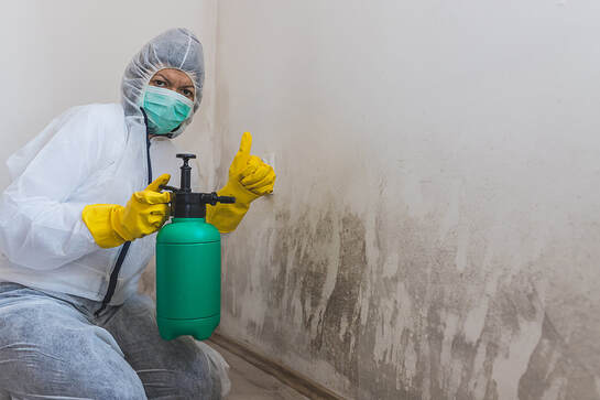 woman holding a sprayer for mold consultation, Mississuaga