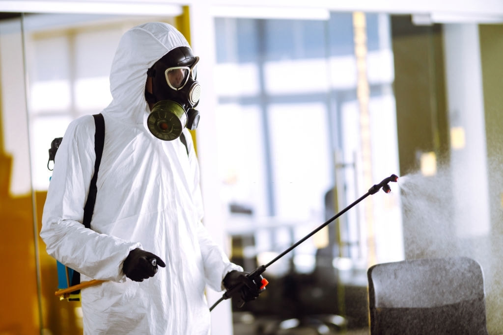 Mold Removal, Mold Removal Attic Cost, Mississauga, ON